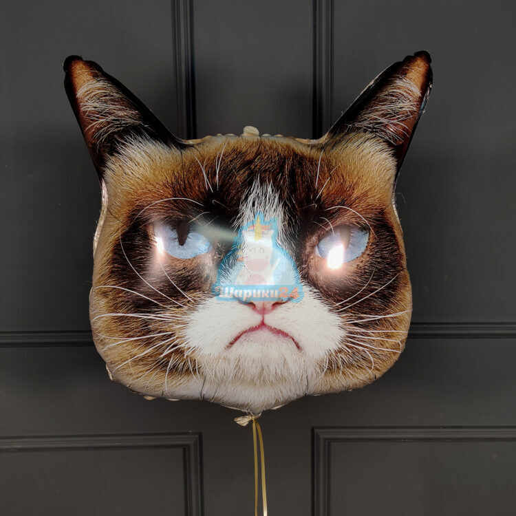 Фольгированная голова Grumpy Cat