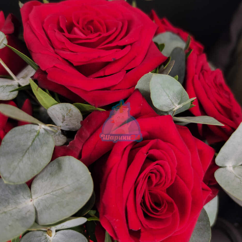 Красные розы с эвкалиптом в красной коробке