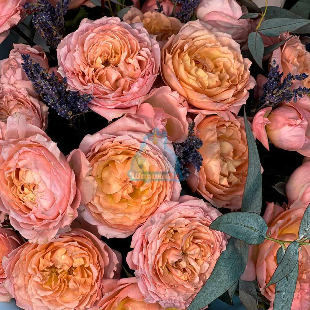 Композиция из бело-розовых и мятных шаров с розовыми сердцами сатин и букет пионовидных роз Джульетта с лавандой