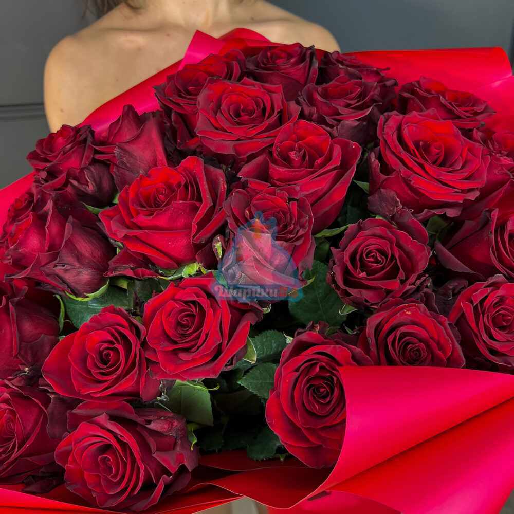Букет из 19 красных эквадорских роз