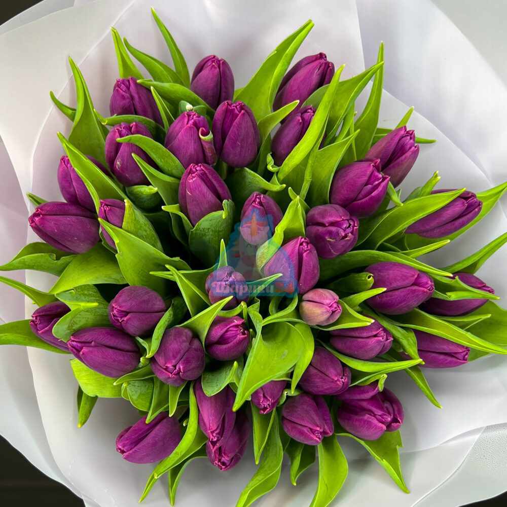 Букет из фиолетовых тюльпанов 35 шт